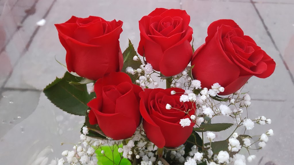 Morning Flower | 4934 Dundas St W, Etobicoke, ON M9A 1B7, Canada | Phone: (416) 239-0585