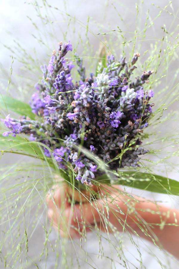 Lavender-Blu | 2375 Bank Rd, Seagrave, ON L0C 1G0, Canada | Phone: (905) 922-6983