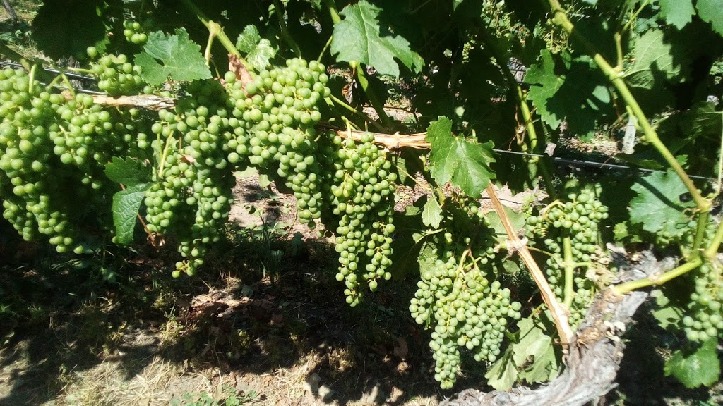 Three Sisters Winery | 1250 Munson Ave, Penticton, BC V2A 8S5, Canada | Phone: (236) 422-2296