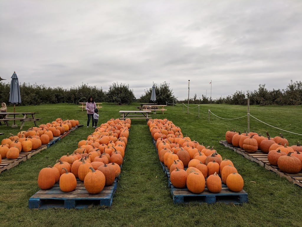 Orchard Home Farm | 235 Howell Rd, Saint George, ON N0E 1N0, Canada | Phone: (519) 448-1111