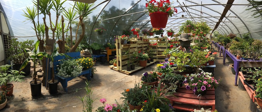 Durands Nursery | 9 Johnson Rd, Christina Lake, BC V0H 1E2, Canada | Phone: (250) 447-6299
