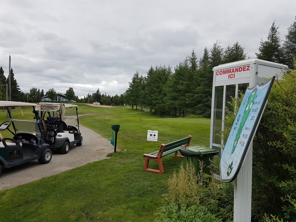 Club De Golf Bellechasse | 505 QC-279, Saint-Damien-de-Buckland, QC G0R 2Y0, Canada | Phone: (418) 789-2008