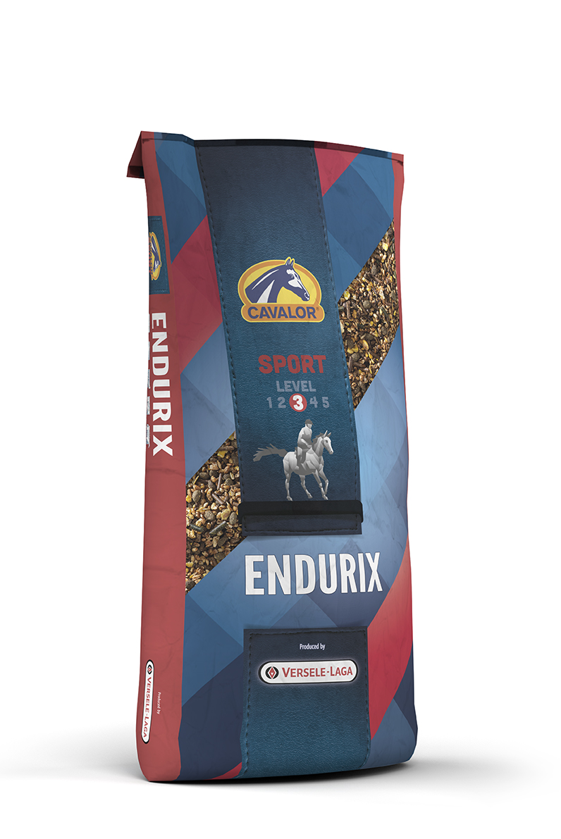 TPT Sterner Equestrian Education Centre | 46 Leslie Rd, Roslin, ON K0K 2Y0, Canada | Phone: (705) 761-5455