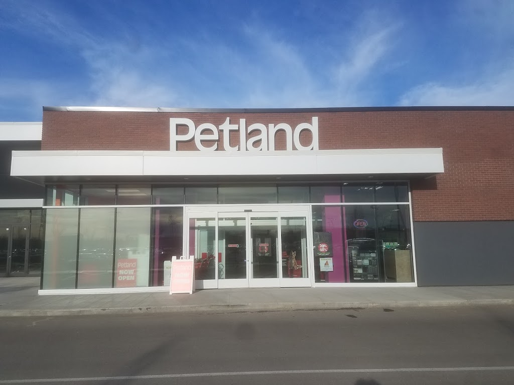 Petland | 901 64 Ave NE #4175, Calgary, AB T2E 7P4, Canada | Phone: (403) 453-0114