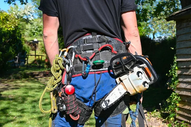 Sumas Tree Service | 2332 Whatcom Rd #16003, Abbotsford, BC V3G 0C6, Canada | Phone: (236) 233-3202