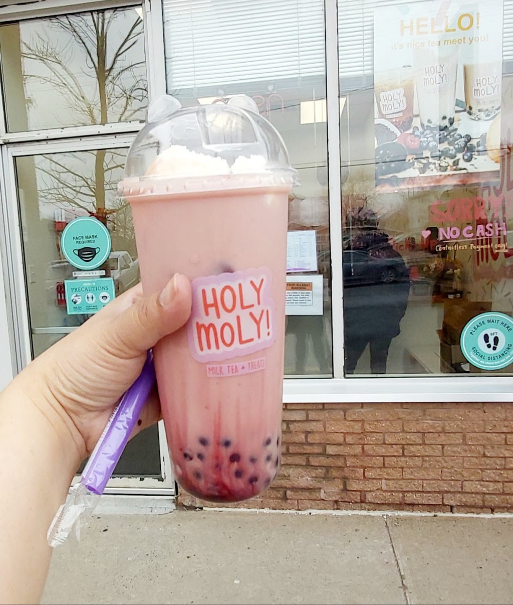 Holy Moly Bubble Tea | 114 Woodlawn Rd, Dartmouth, NS B2W 2S7, Canada | Phone: (902) 435-6755