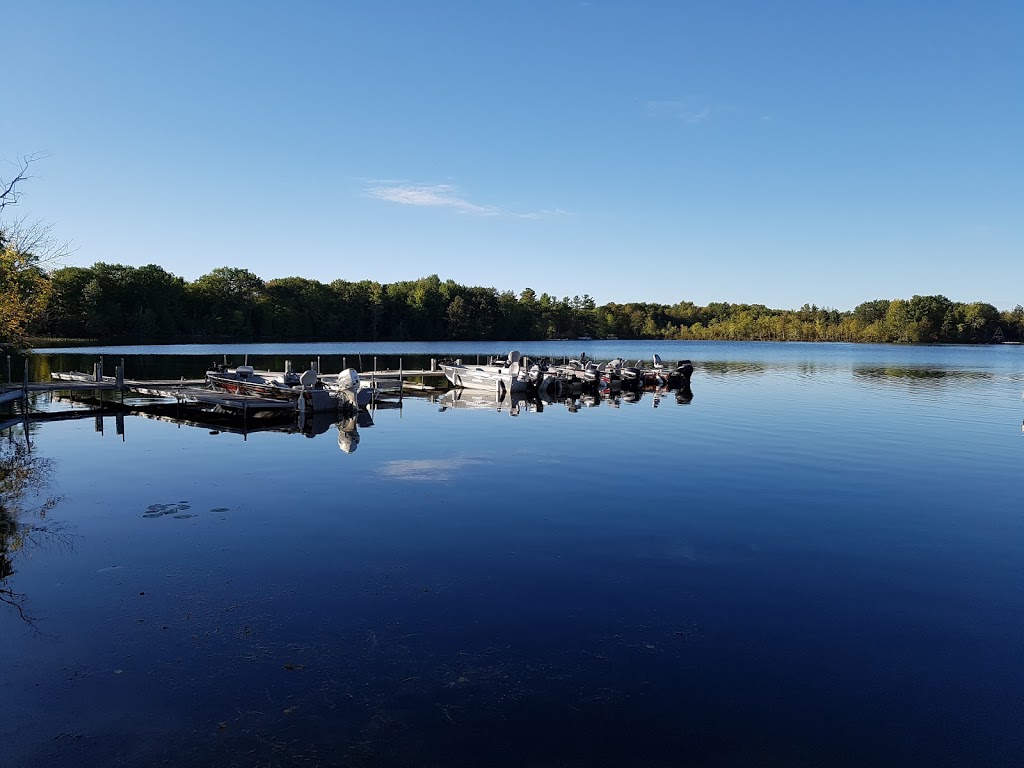 Loughborough Lake Marina | 2279 Loughborough View Rd, Battersea, ON K0H 1H0, Canada | Phone: (613) 353-6205