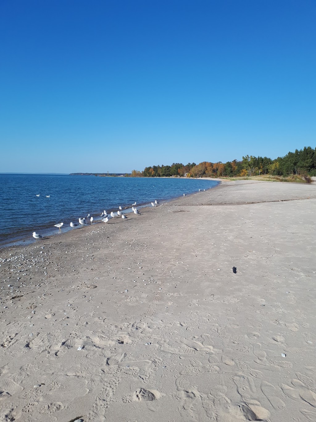 Sceptre Developements | 800 Eastdale Dr, Wasaga Beach, ON L9Z 2R2, Canada | Phone: (705) 361-9900