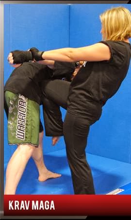 Para Bellum MMA | 2530 Speers Rd, Oakville, ON L6L 5K8, Canada | Phone: (905) 827-7662
