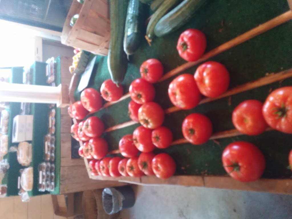 Gillespies Garden | 1043 Brantford Hwy, Cambridge, ON N1R 5S6, Canada | Phone: (519) 622-2294