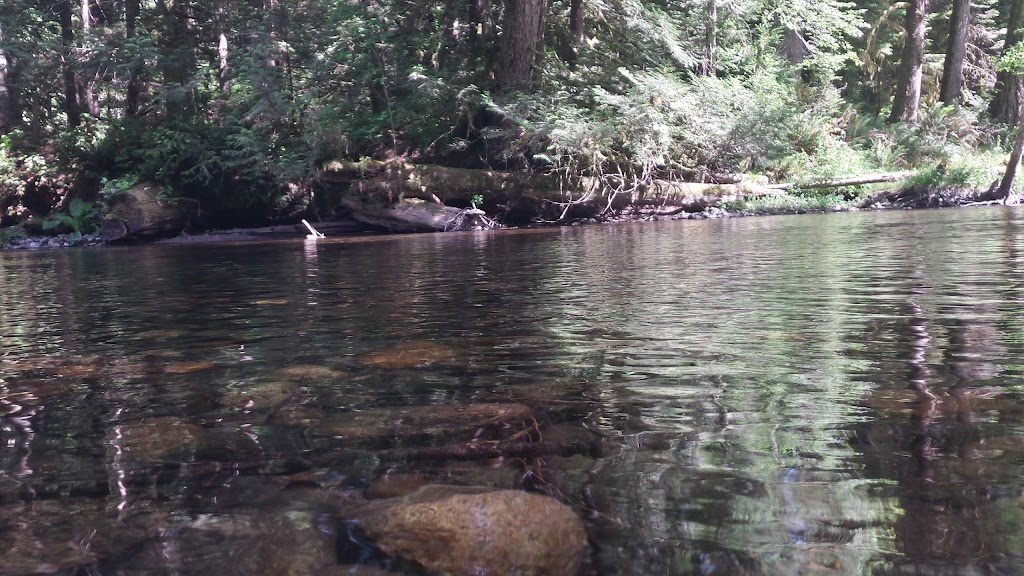Big Qualicum Hatchery | 215 Fisheries Rd, Qualicum Beach, BC V9K 1Z5, Canada | Phone: (250) 757-8412