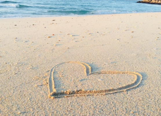 Ocean Tides Counselling & Therapy, Donna McLean M.S.W. | 989 Young Ave, Halifax, NS B3H 2V9, Canada | Phone: (902) 430-3137