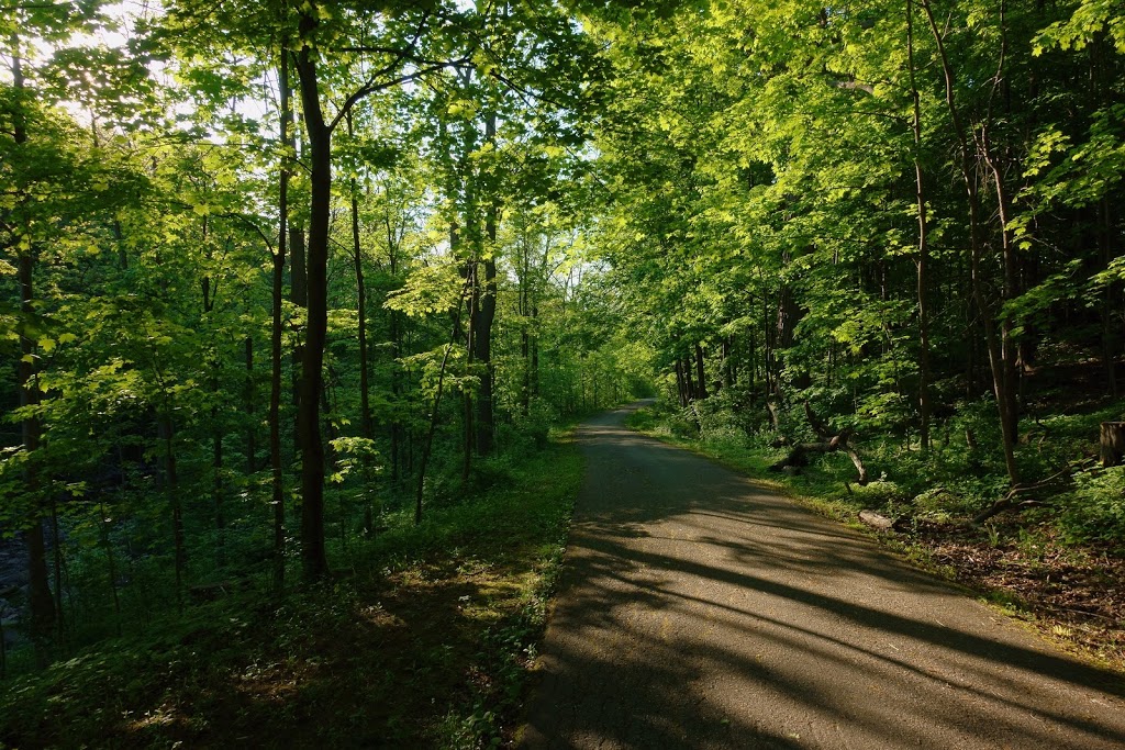 Derrydowns Park | 227 Derrydown Rd, North York, ON M3J 1S2, Canada | Phone: (416) 338-4386