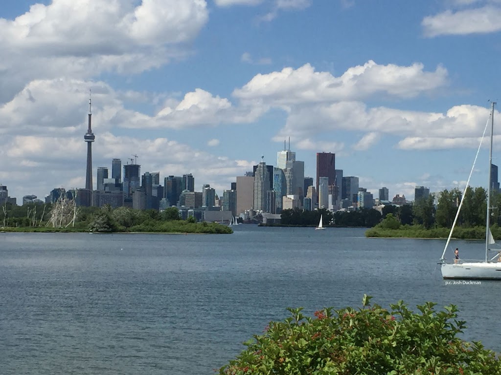 Contracts, Law & More | Pleasant Blvd suite 1157, Toronto, ON M4T 1K2, Canada | Phone: (647) 560-1001