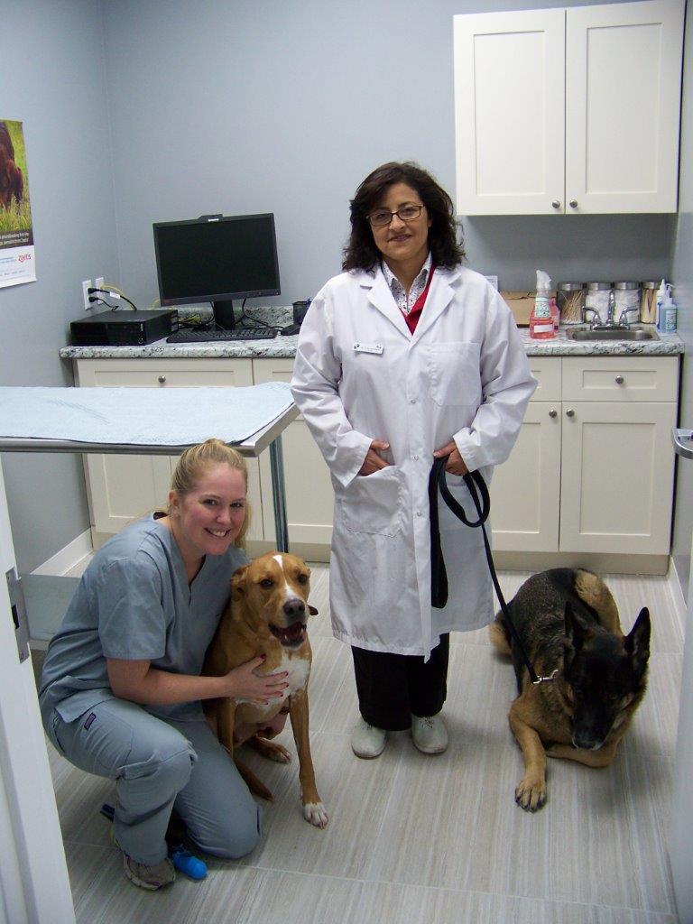 Huron East Animal Hospital | 1606 Battler Rd d, Kitchener, ON N2R 0C9, Canada | Phone: (519) 895-8883