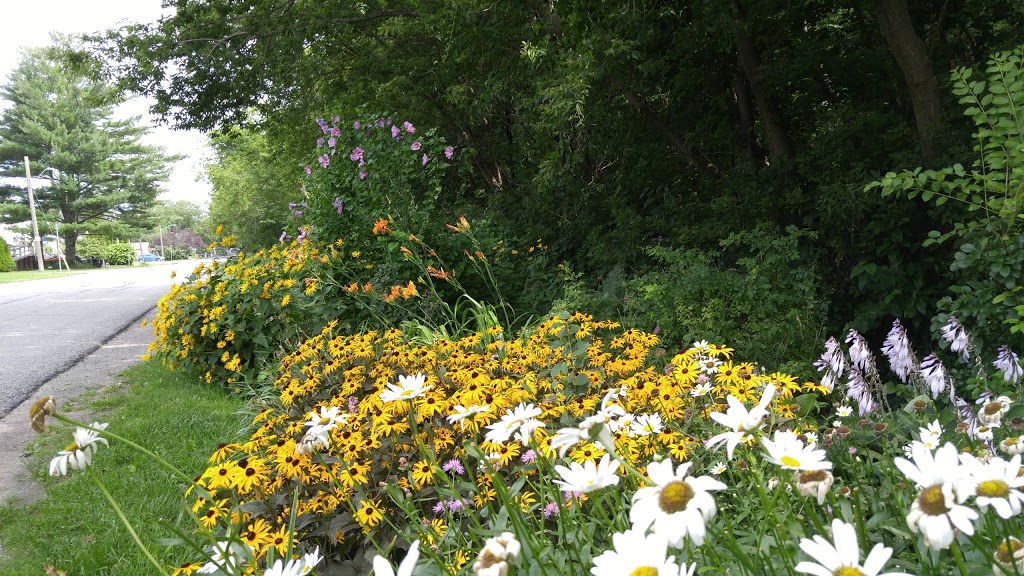 Malcolmson Eco Park | 325 Lakeshore Rd, St. Catharines, ON L2M 7Z3, Canada