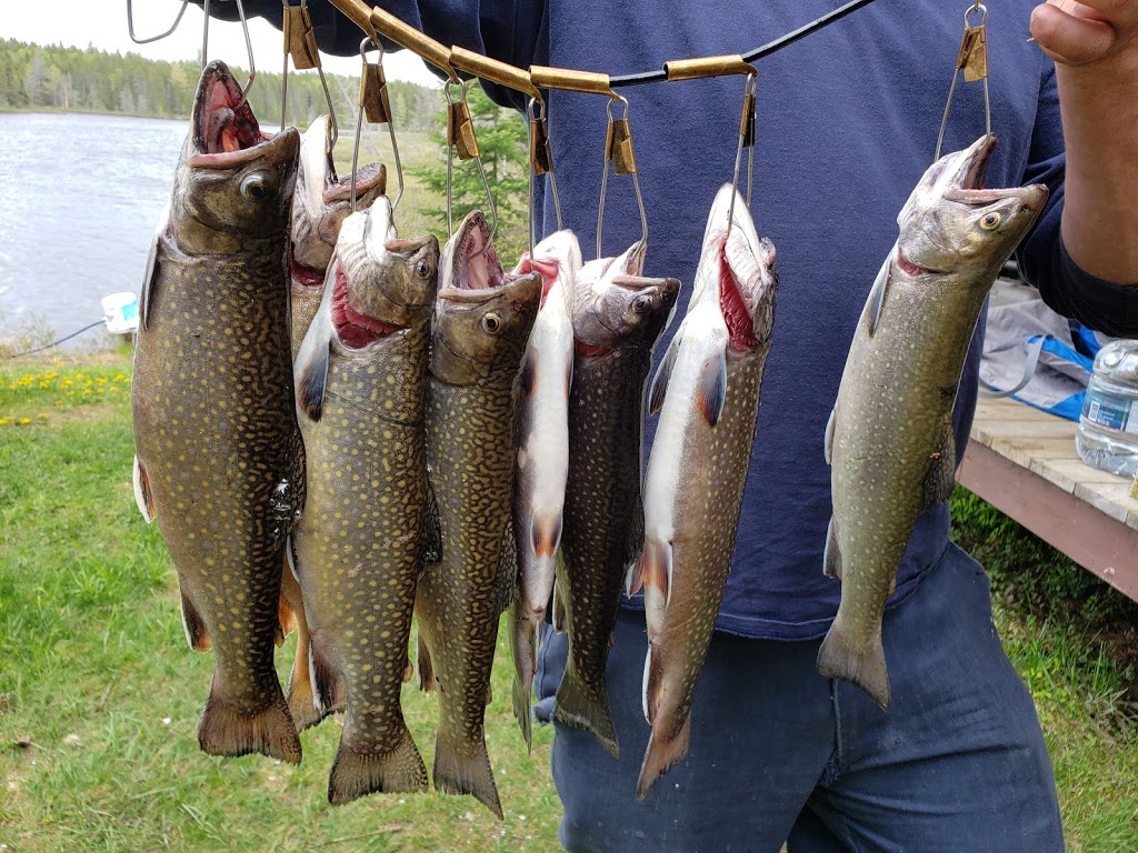 Pourvoirie Ayapewa | Saint-Alexis-des-Monts, QC J0K 1V0, Canada | Phone: (514) 206-7652