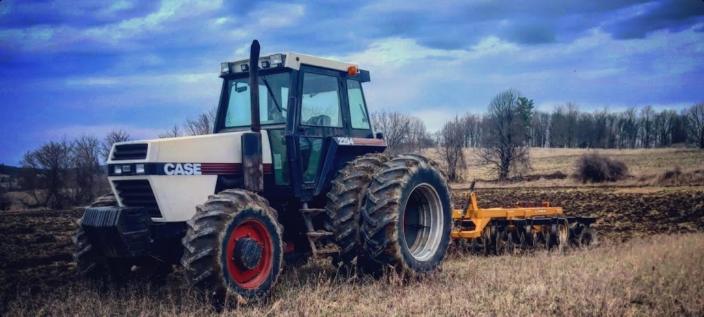 Jaemar Farms | 1375 McGregor Bay Rd, Keene, ON K0L 2G0, Canada | Phone: (705) 927-1615