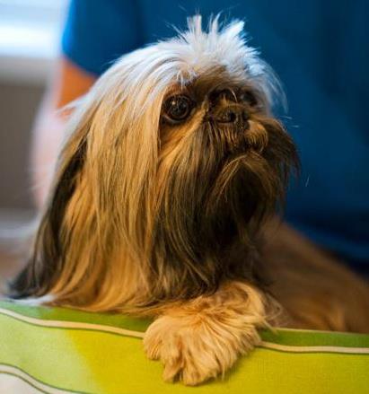 Global Pet Foods | 1111 Princess St, Kingston, ON K7L 2T1, Canada | Phone: (613) 548-8048