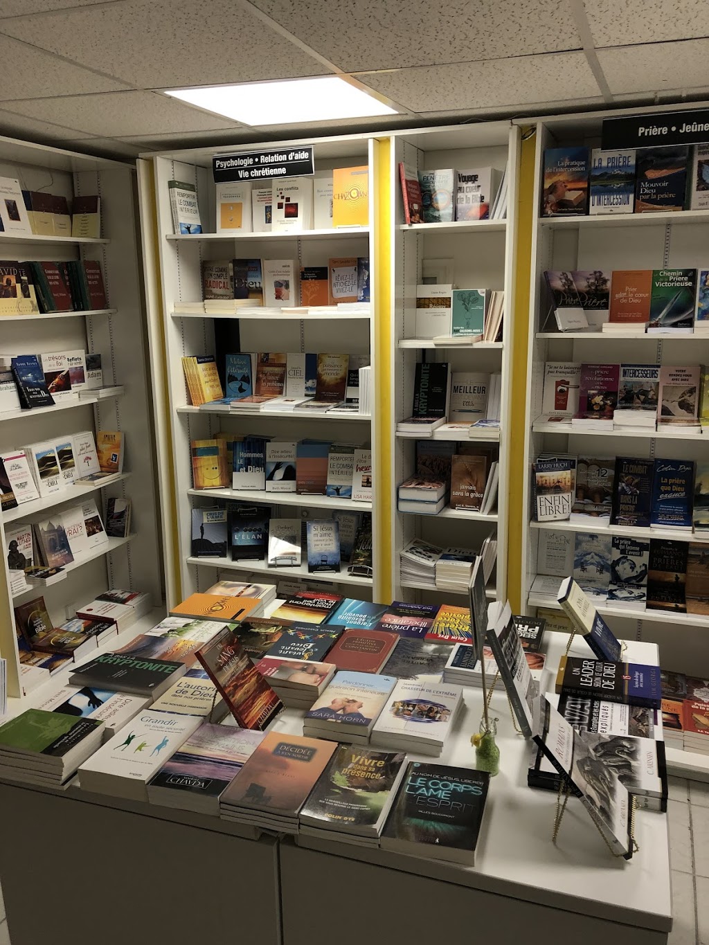 librairie kiraly vie DIFFUSION VIE | 1358 Boulevard Marie-Victorin, Longueuil, QC J4G 1H3, Canada | Phone: (450) 670-3843