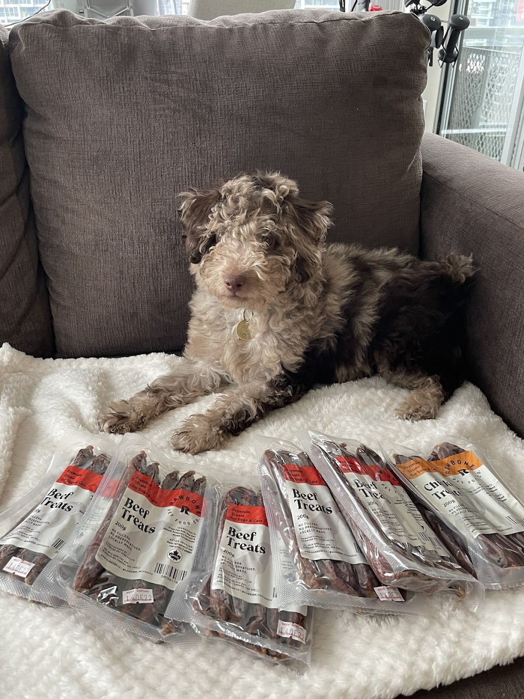 Rawbone Pet Food Co Ltd | 3070 Norland Ave #105, Burnaby, BC V5B 3A6, Canada | Phone: (778) 855-4534