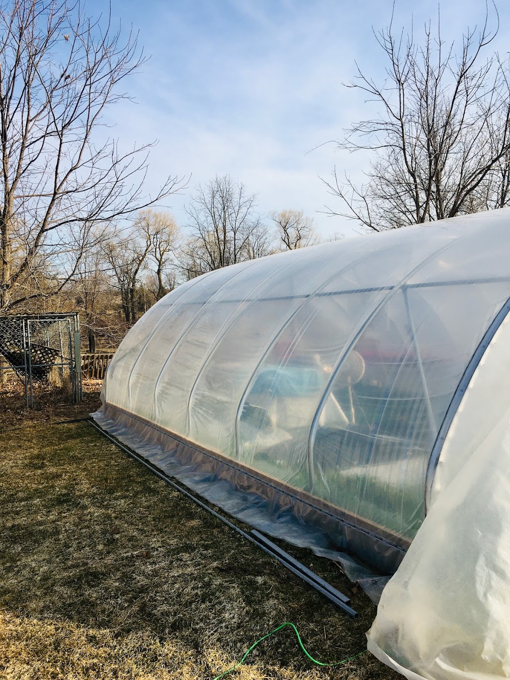 shadowrock nursery | 5781 2ed. line, Schomberg, ON L0G 1T0, Canada | Phone: (705) 330-5649