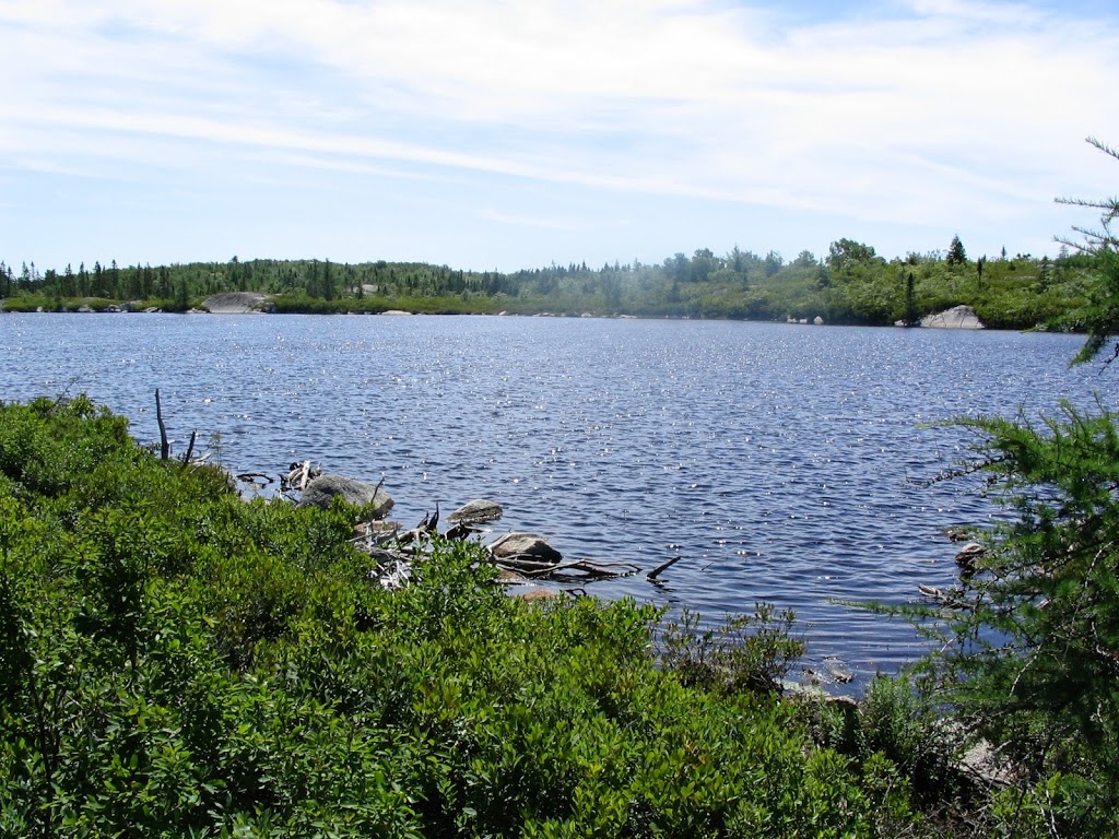 The Bluff Wilderness Hiking Trail | 2890 St Margarets Bay Rd, Timberlea, NS B3T 1H4, Canada | Phone: (902) 876-7377