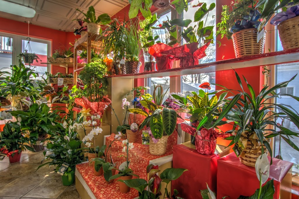 Fleuriste Lijenthem | 752 Rue du Conseil, Sherbrooke, QC J1G 1L2, Canada | Phone: (819) 562-6254