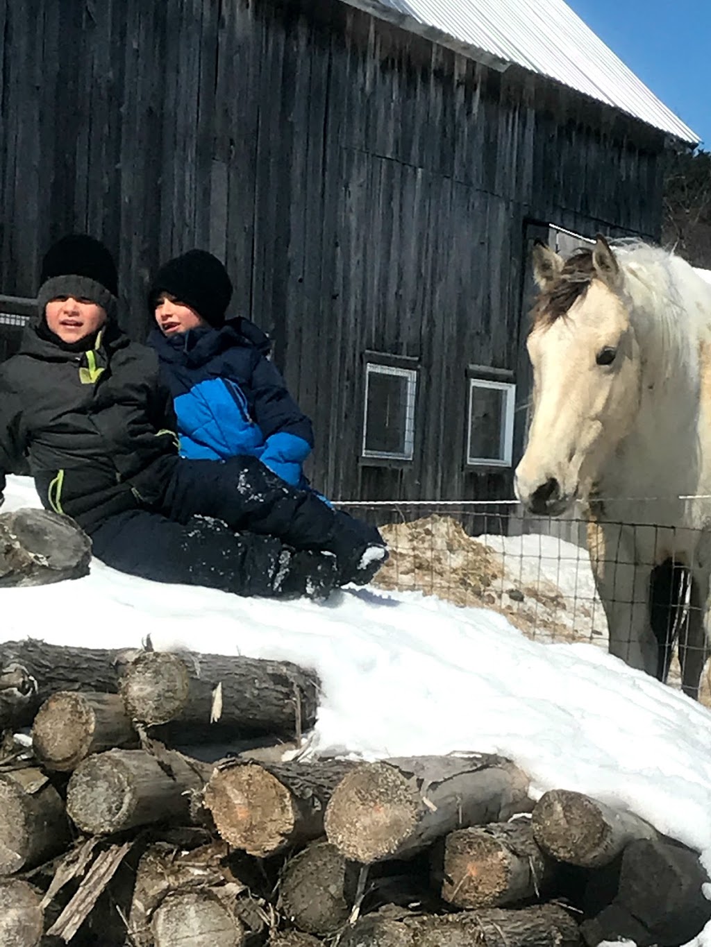 Ferme St Lap | 576 route 317, Lochaber, QC J0X 3B0, Canada | Phone: (819) 985-3551