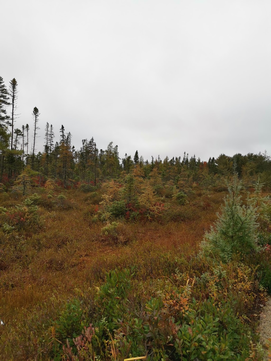 Aspotogan Heritage Trust | 10 Pte Richard Green Ln, Hubbards, NS B0J 1T0, Canada | Phone: (902) 857-1133