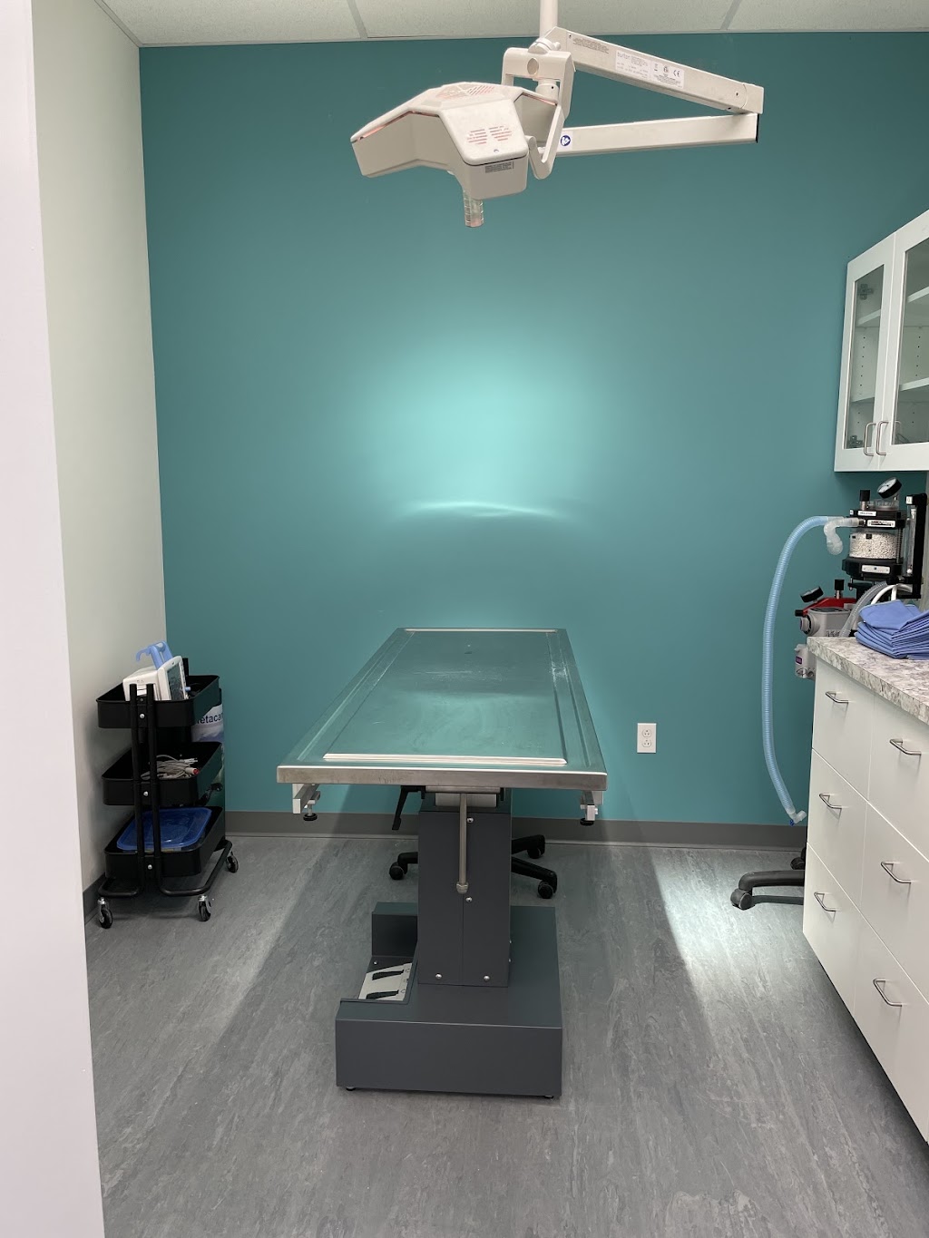 Bedford Parks Animal Hospital | 35 Bloom Ln Unit 100, Bedford, NS B4B 2E6, Canada | Phone: (902) 445-4551