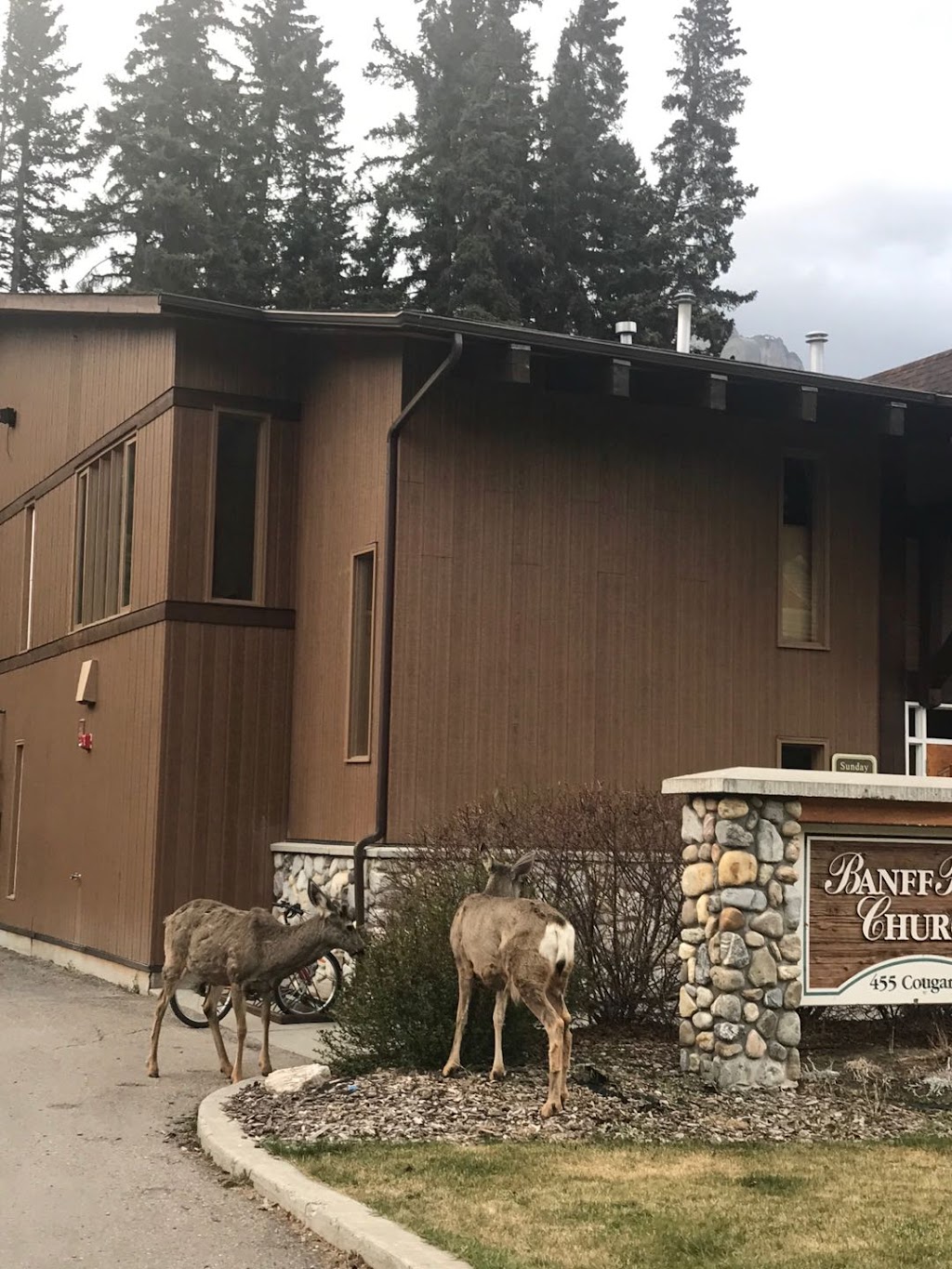 Banff Park Church | 455 Cougar St, Banff, AB T1L 1A3, Canada | Phone: (403) 762-3225