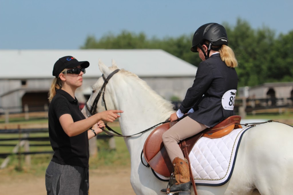 Findaway Equestrian Services Inc. | 560 Snyders Rd E, Baden, ON N3A 3L1, Canada | Phone: (519) 634-9751