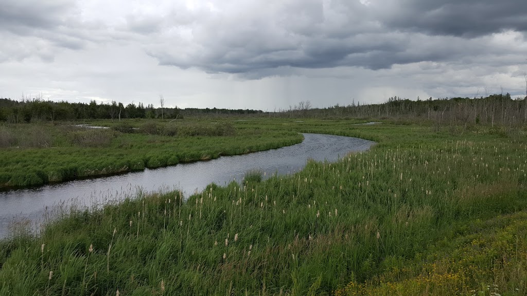 Wetland, River | 301-445 Golf Course Rd, Janetville, ON L0B 1K0, Canada