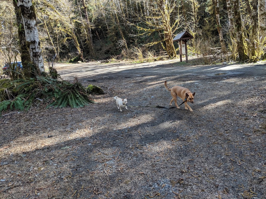 San Juan River Campsite | Juan de Fuca, BC V0S, Canada | Phone: (250) 701-1976