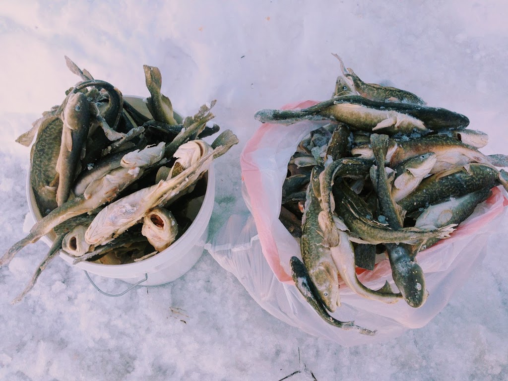 Centre de Pêche Marchand | 788 Montée de lEnseigne, Sainte-Anne-de-la-Pérade, QC G0X 2J0, Canada | Phone: (418) 325-2778