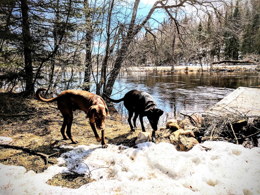 Ferme Riverview Farm | 659 Chemin de Brookdale, Boileau, QC J0V 1N0, Canada | Phone: (819) 687-3053