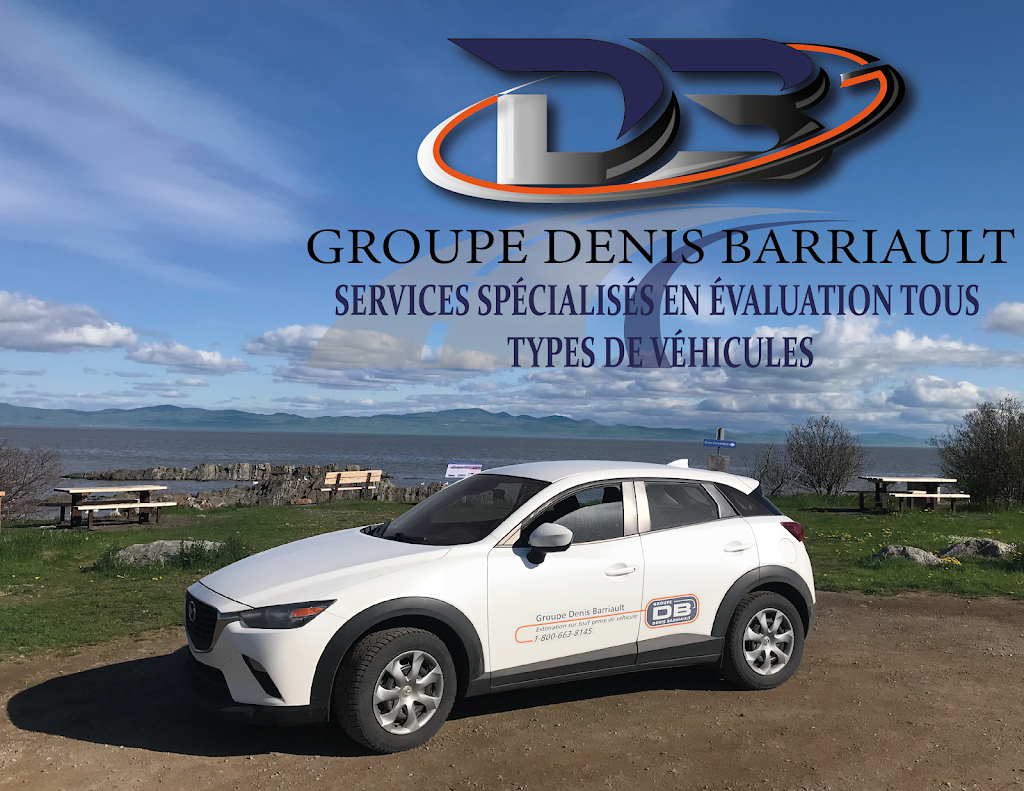 Groupe Denis Barriault Inc | 467 Chem. Bord-du-Lac, Dorval, QC H9S 2A9, Canada | Phone: (800) 663-8145