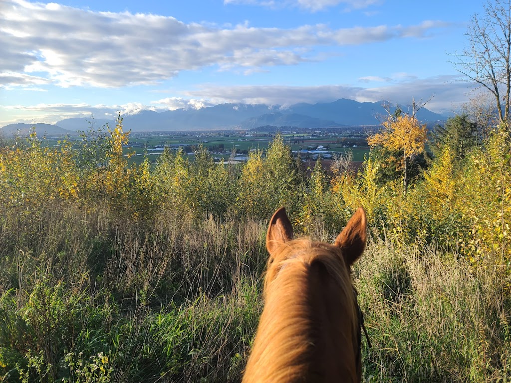 Hillside Stables Inc | 7465 Upper Prairie Rd, Chilliwack, BC V4Z 1J4, Canada | Phone: (604) 795-1504