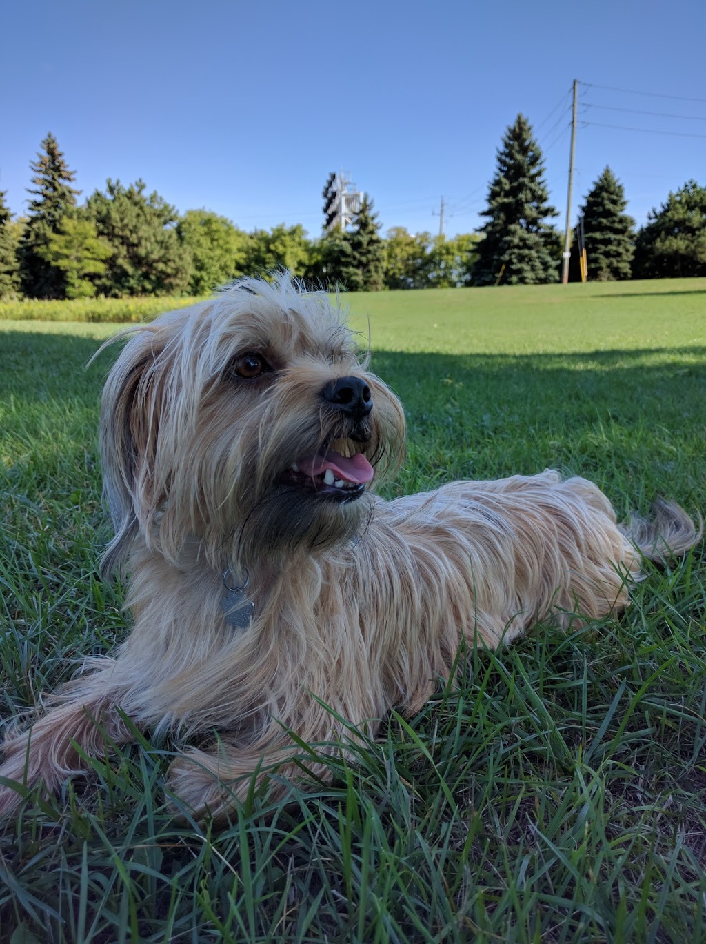 Grand Avenue Park | 1 Grand Ave, Etobicoke, ON M8Y, Canada | Phone: (416) 392-8188