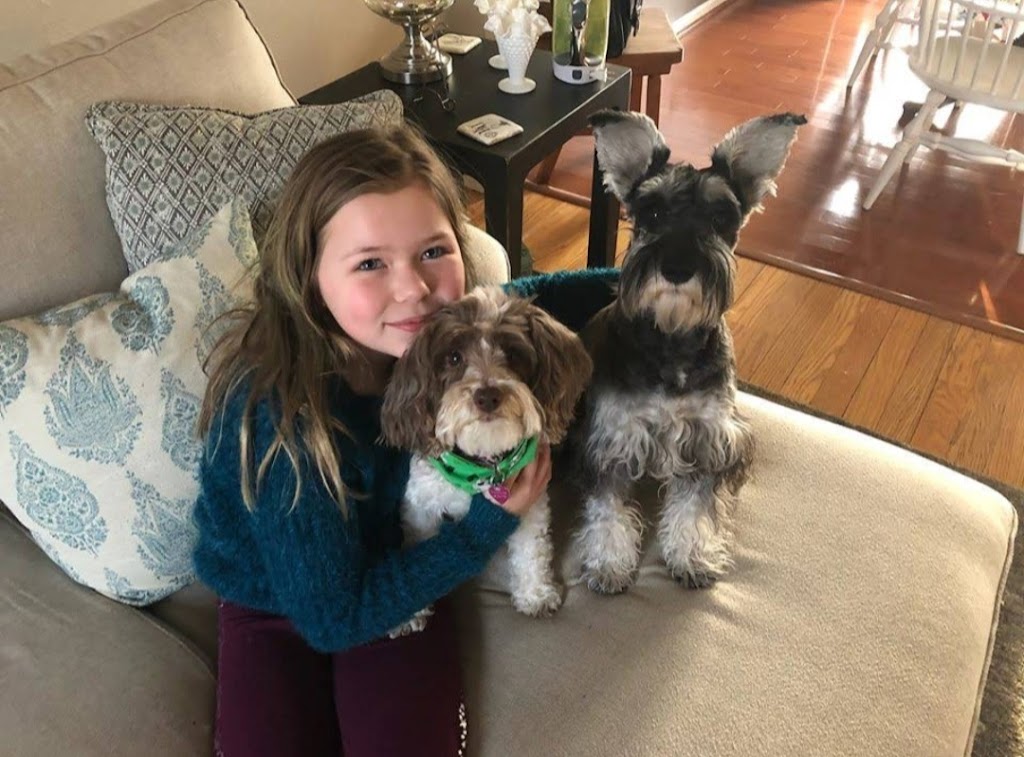 Fernweh Miniature Schnauzers | 3054 Trafalgar St #62, Abbotsford, BC V2S 7X6, Canada | Phone: 898-0708