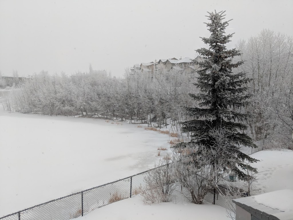 Elmira Park | 46 Elkton Way SW, Calgary, AB T3H 4Y8, Canada