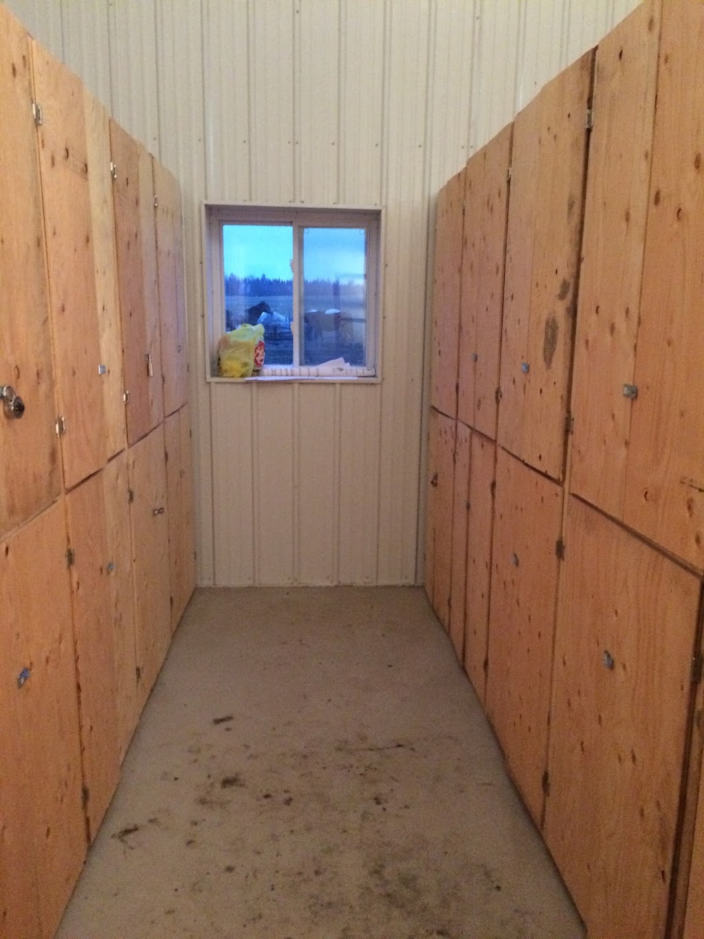 Paints-Plus Equine Center | 22441 AB-14, Sherwood Park, AB T8C 1H5, Canada | Phone: (780) 237-7587