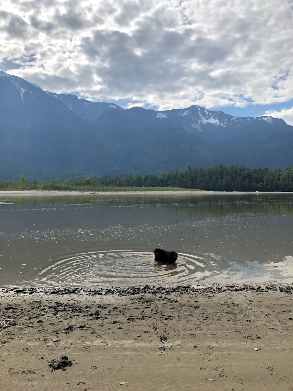Cheam Fishing Village and Campground | 630 Appel Rd, Agassiz, BC V0M 1A0, Canada | Phone: (604) 997-5533