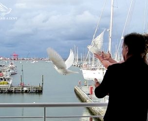 White Wings Worldwide/Release A Dove | 1 First St suite 220, Collingwood, ON L9Y 1A1, Canada | Phone: (416) 422-5561