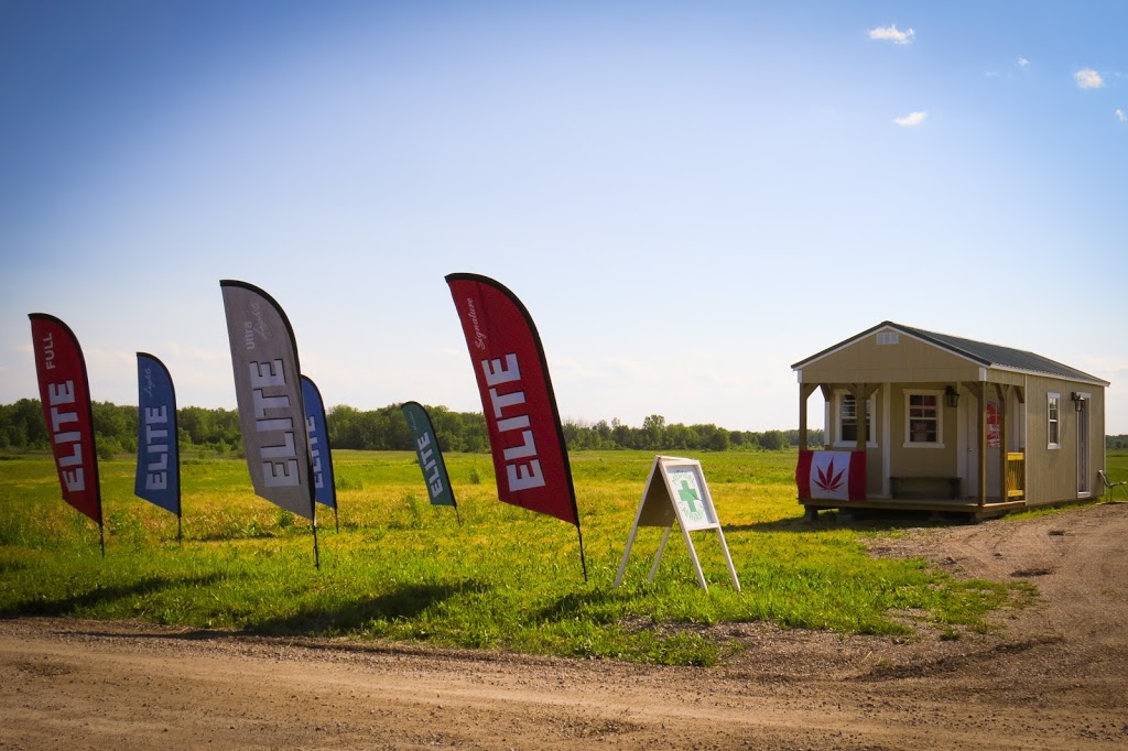 Honey Gramz | 6103 Bodkin Rd, Southwold, ON N0L 2G0, Canada | Phone: (226) 235-7196