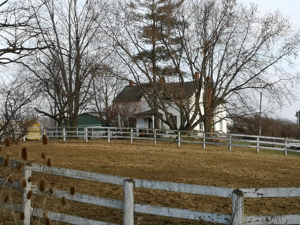 Iron Horse Equestrian Complex | 5244 Side Rd 1, Burlington, ON L7M 1T9, Canada | Phone: (289) 838-5768