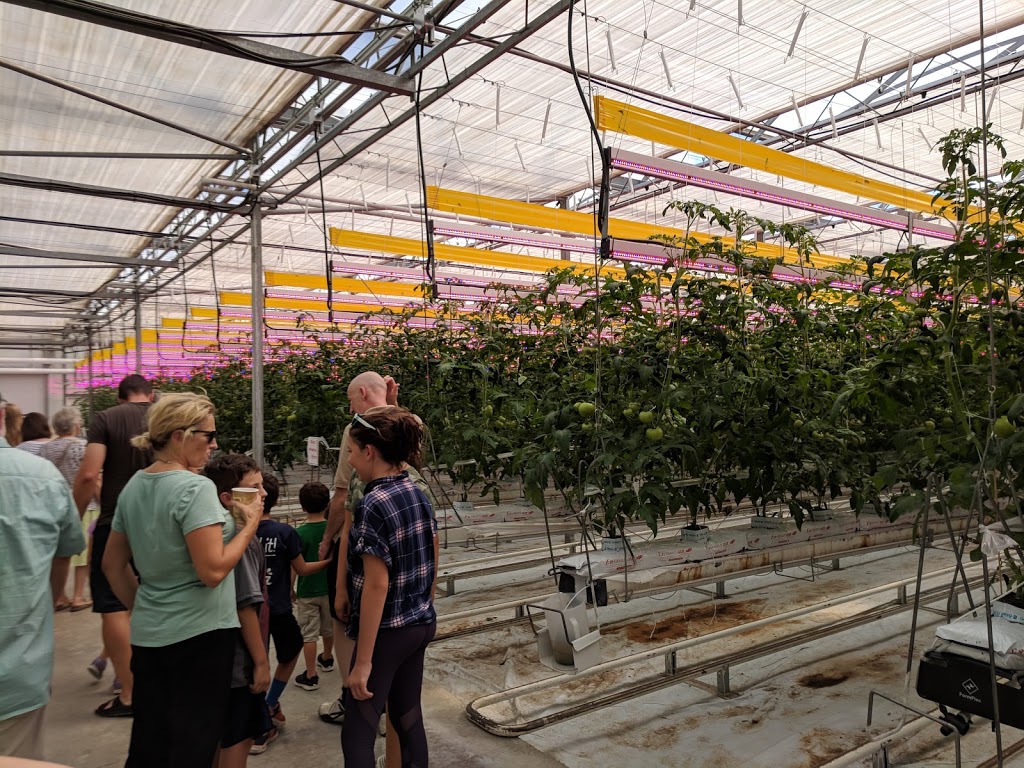 Floralane Farm Market | 2191 Arthur St N, Elmira, ON N3B 2Z1, Canada | Phone: (519) 669-3154