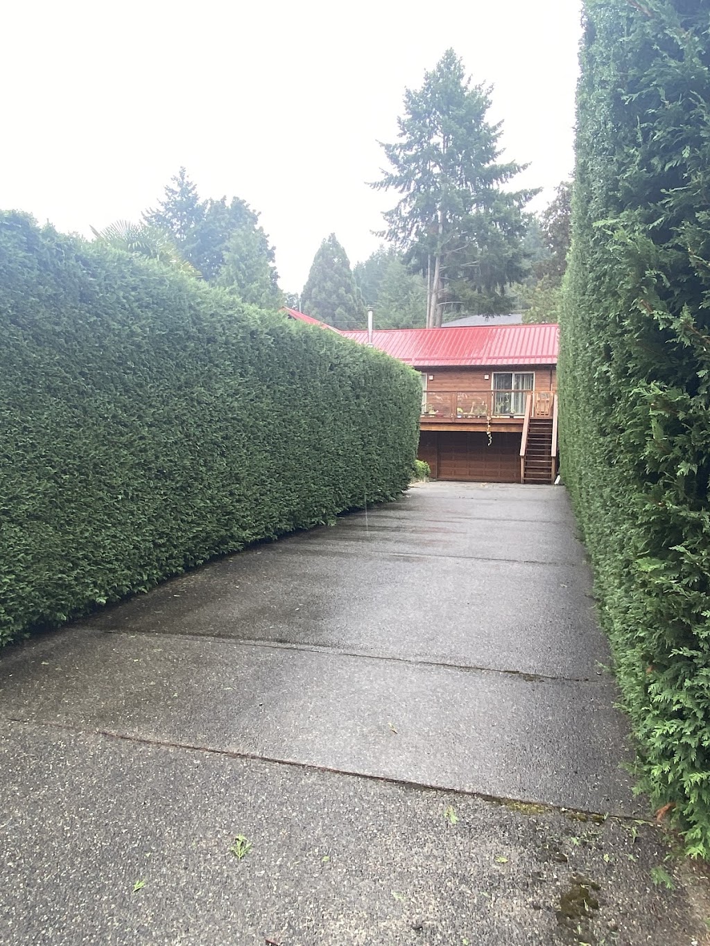 Accure Tree Service | 3484 Osprey Lookout, Nanaimo, BC V9T 4E7, Canada | Phone: (250) 713-9781