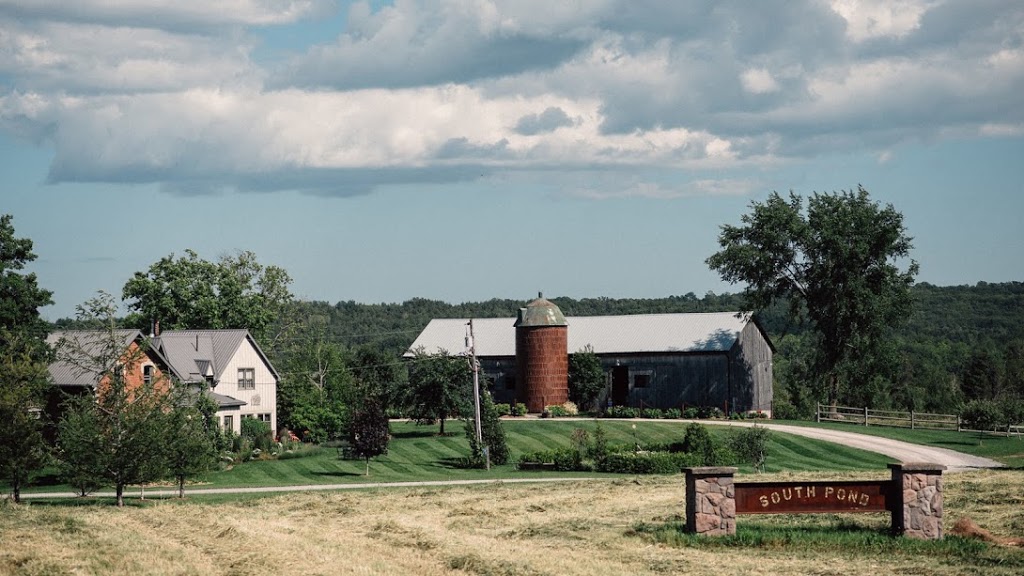 South Pond Farms | 1020 Gray Rd, Pontypool, ON L0A 1K0, Canada | Phone: (705) 277-1649